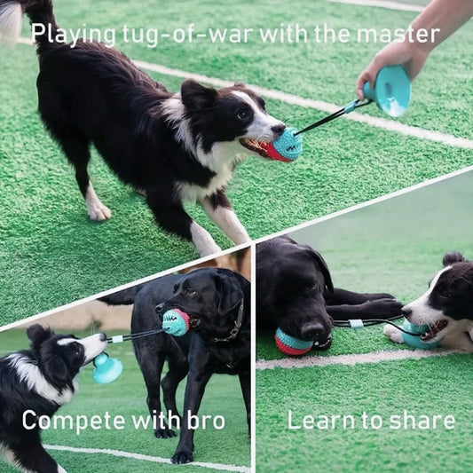Gioco per Cani con Ventosa – Tira e Molla Interattivo + Dispenser Snack (Resistente)/Suction Cup Tug-of-War Dog Toy – Interactive Chew + Treat Dispenser (Durable)