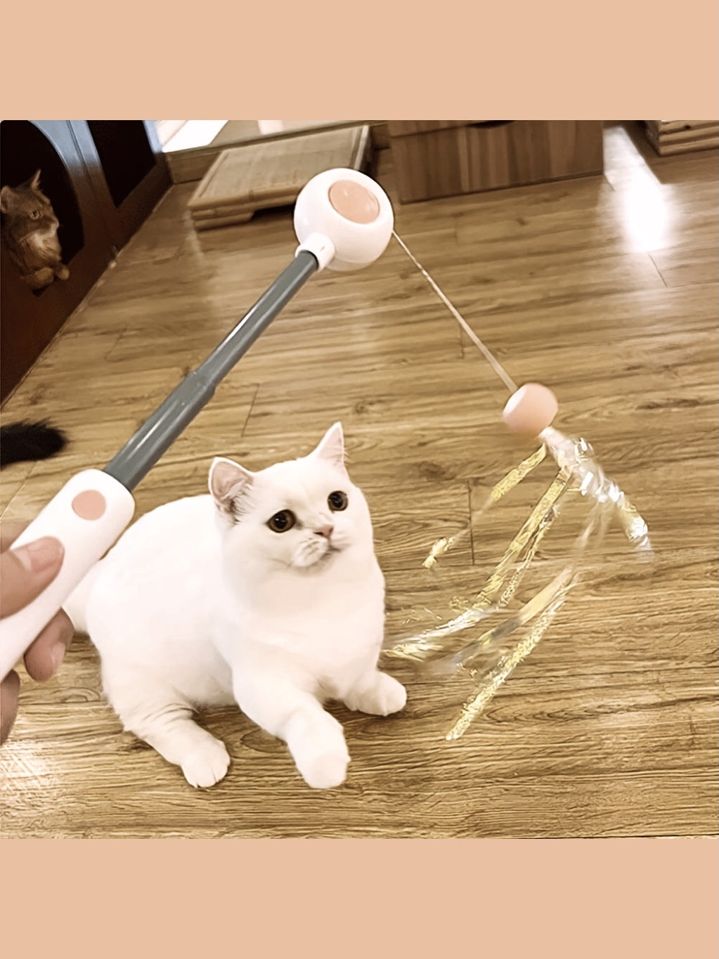 Bacchetta Gioco Retrattile per Gatti con Piume + Testine di Ricambio/Retractable Cat Teaser Wand with Feather + Replacement Heads